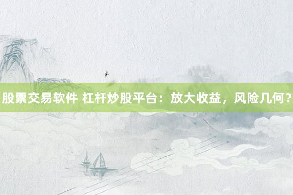 股票交易软件 杠杆炒股平台：放大收益，风险几何？