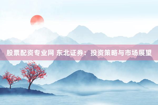 股票配资专业网 东北证券：投资策略与市场展望