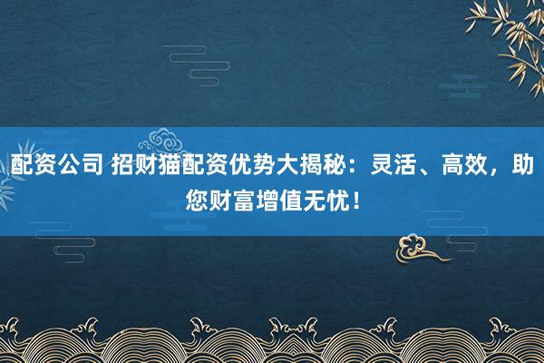 配资公司 招财猫配资优势大揭秘：灵活、高效，助您财富增值无忧！