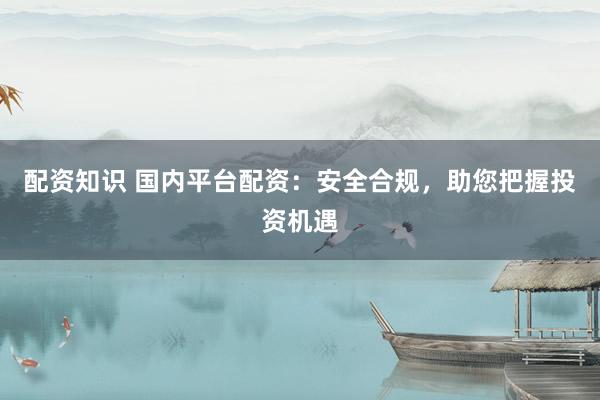 配资知识 国内平台配资：安全合规，助您把握投资机遇