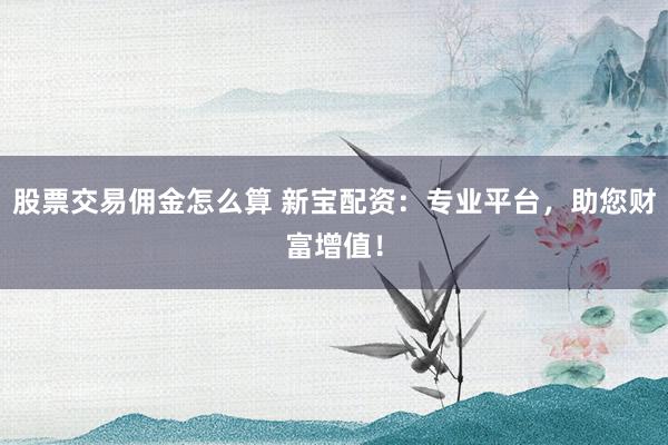 股票交易佣金怎么算 新宝配资:专业平台,助您财富增值!