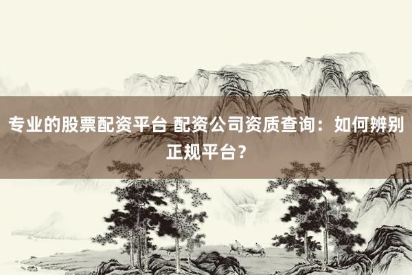专业的股票配资平台 配资公司资质查询:如何辨别正规平台?