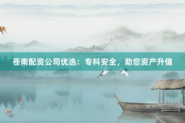 苍南配资公司优选:专科安全,助您资产升值