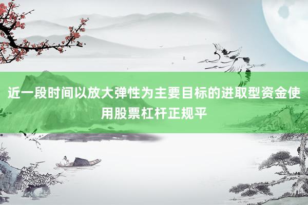 近一段时间以放大弹性为主要目标的进取型资金使用股票杠杆正规平