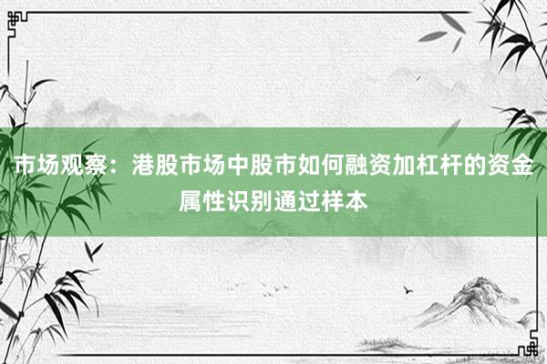 市场观察：港股市场中股市如何融资加杠杆的资金属性识别通过样本