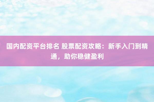 国内配资平台排名 股票配资攻略:新手入门到精通,助你稳健盈利